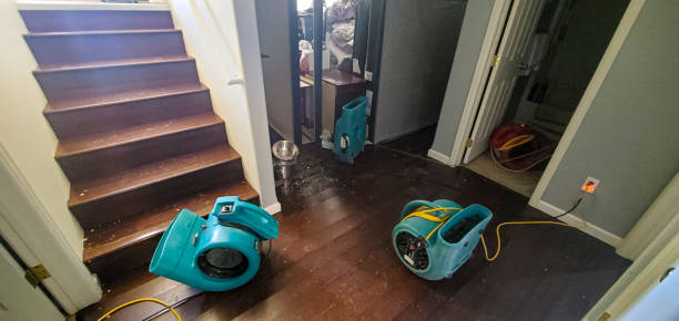 Best Ceiling water damage repair  in Scottsdale, AZ