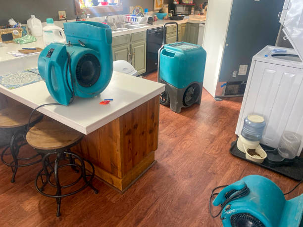 Best Flood damage cleanup  in Scottsdale, AZ