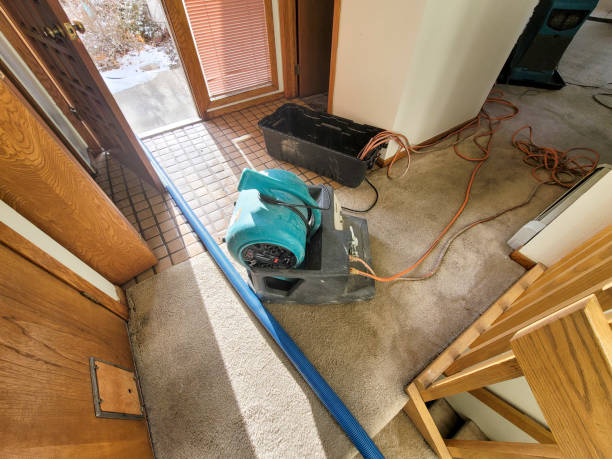 Best Professional water damage repair  in Scottsdale, AZ