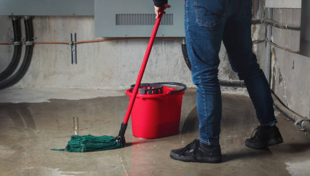  Scottsdale, AZ Water damage restoration Pros