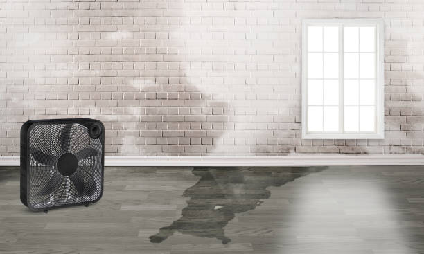 Best 24/7 water damage repair  in Scottsdale, AZ
