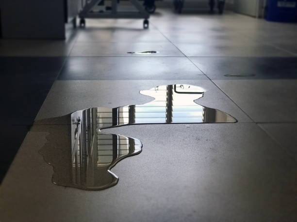 Best Flood restoration services  in Scottsdale, AZ