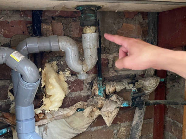 Best Water damage restoration experts  in Scottsdale, AZ