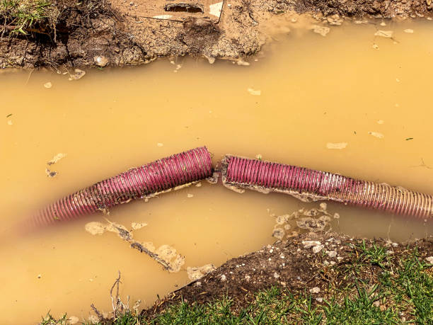 Best Carpet water damage restoration  in Scottsdale, AZ