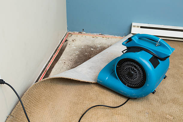 Best Residential water damage restoration  in Scottsdale, AZ